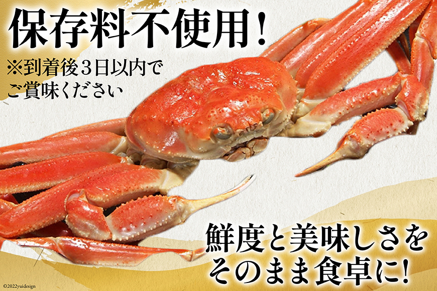 老舗カニ卸業者から直送 本ずわいがに ほぐし身 500g [カネダイ 宮城県 気仙沼市 20564328]