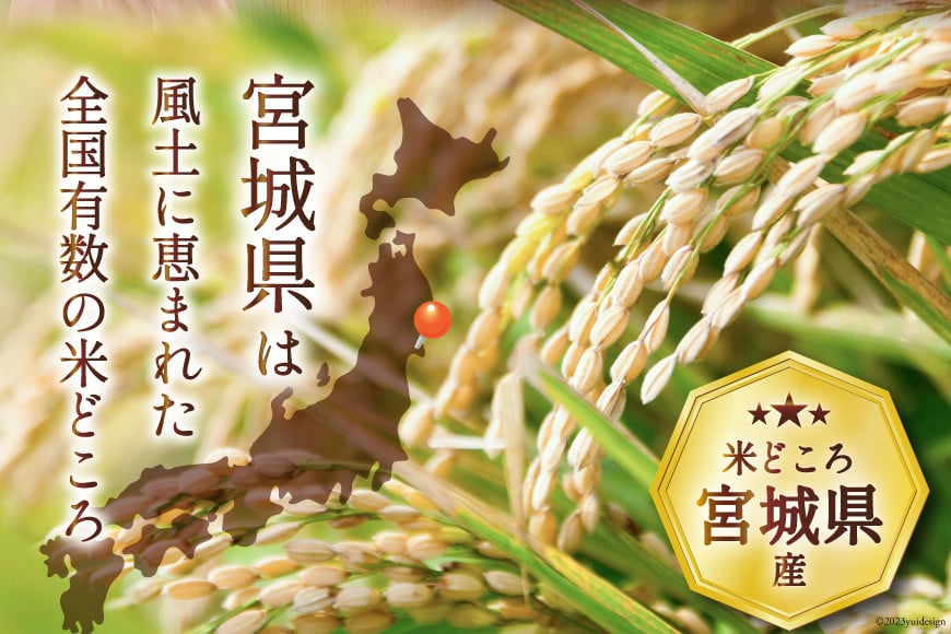 米 宮城県産 ひとめぼれ 10kg (5kg×2袋) [気仙沼米穀商業協同組合 宮城県 気仙沼市 20565763] 一等米 ブランド米 白米 精米 ご飯 ごはん コメ こめ お米 小分け 家庭用