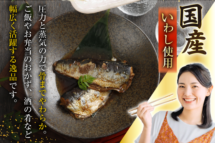 訳あり 業務用 いわし煮魚 3種 ×10尾 計30尾入 約1.5kg 簡易包装 [カネダイ 宮城県 気仙沼市 20565562] 魚 魚介 煮魚 国産 生姜煮 梅肉煮 みぞれ煮 おかず 焼き魚 簡単 時短 訳アリ 冷凍