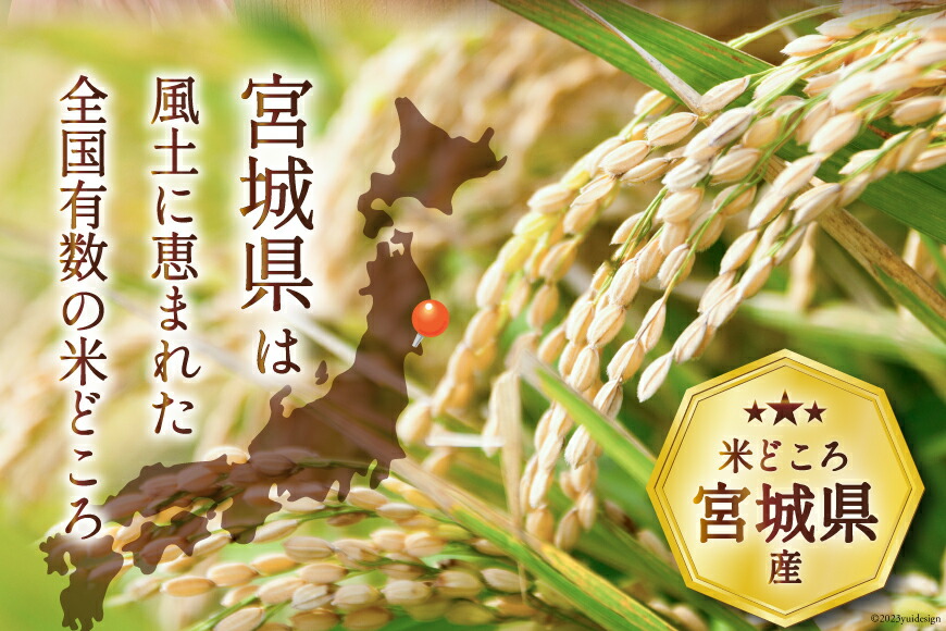 米 宮城県産 だて正夢 5kg [気仙沼米穀商業協同組合 宮城県 気仙沼市 20565768] 一等米 ブランド米 白米 精米 ご飯 ごはん コメ こめ 小分け 家庭用