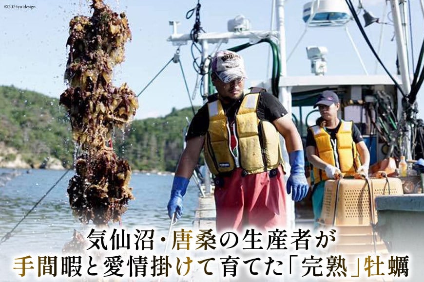 完熟牡蠣のオイスターソース 160g×3 [石渡商店 宮城県 気仙沼市 20563369] 調味料 カキ 牡蠣 かき オイスターソース