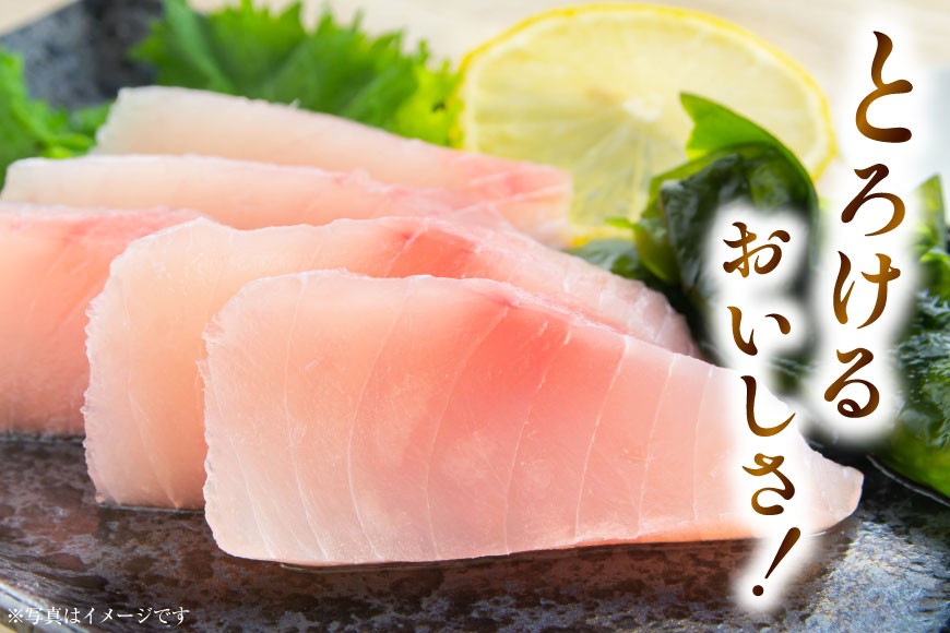 特撰 トロビンチョウ 300g [川印 村田漁業 宮城県 気仙沼市 20563396] 魚介類 魚貝 魚介 鮪 まぐろ マグロ トロ びんちょう ビンチョウ