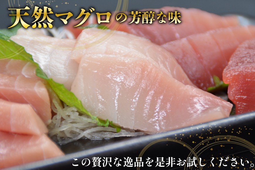 北かつのマグロ上質セット (マグロ中トロ 200g マグロ上質赤身 200g×2 メカジキ 200g びんちょう 200g）合計1kg [北かつ商事 宮城県 気仙沼市 20563511] 魚 鮪 マグロ 中トロ まぐろ 赤身 刺身 魚介 メカジキ 冷凍