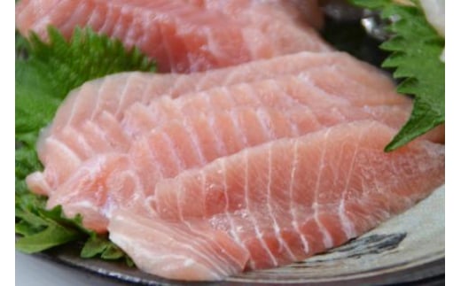 訳あり 三陸気仙沼マグロづくしセット [豊洋海産流通 宮城県 気仙沼市 20563514] 魚介 海鮮 魚 まぐろ 鮪 マグロのタタキ メカジキ バチマグロ 切り落とし セット 詰め合わせ 刺身 たたき 訳アリ わけあり