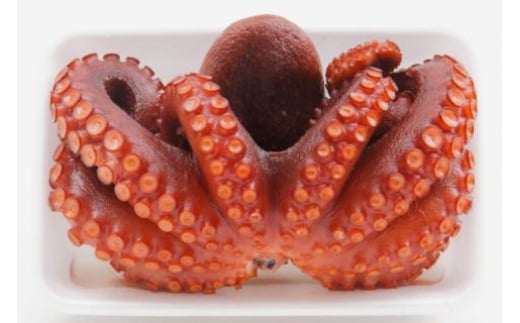 ボイルタコ 500g ×2p 総計1kg [さんりくみらい 宮城県 気仙沼市 20563519] 三陸産 たこ タコ 茹で ボイル