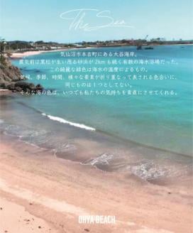 気仙沼の海をイメージしたキャンドル OHYA Shell Candle 1個 [Nr.12（ともしびプロジェクト） 宮城県 気仙沼市 20563587] キャンドル 可愛い かわいい カワイイ