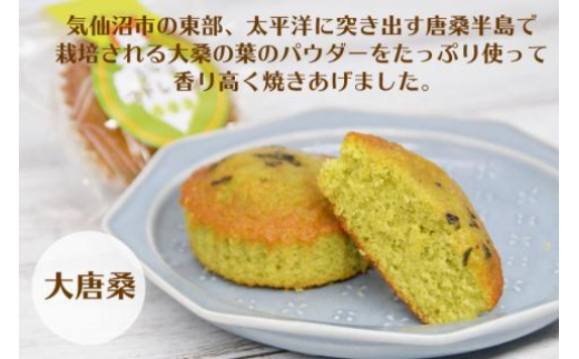 【和菓子職人が作る】気仙沼マドレーヌ 2種10個 [菓匠 紅梅 宮城県 気仙沼市 20563591] 菓子 お菓子 おやつ マドレーヌ ゆず 小分け 常温