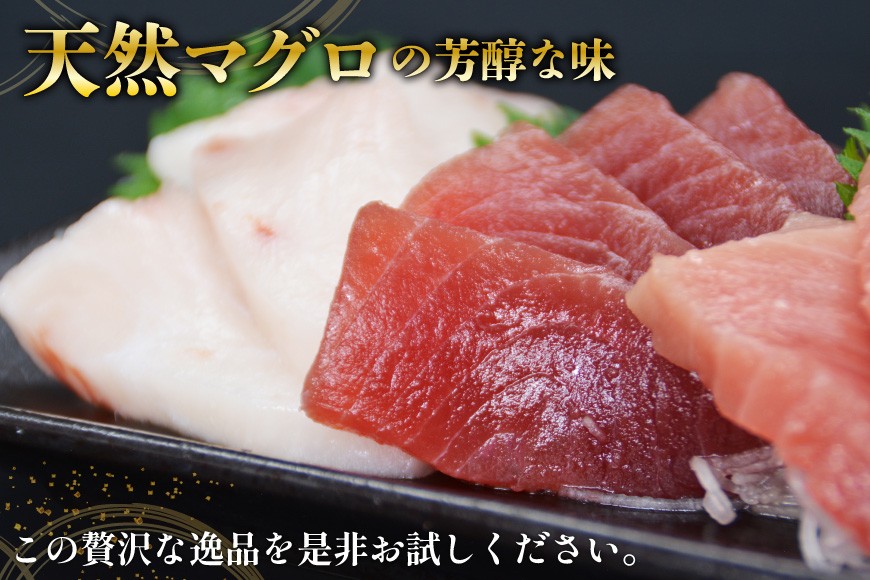 北かつのマグロ 中トロセット [北かつ商事 宮城県 気仙沼市 20563599] 魚 刺身 柵 鮪 まぐろ マグロ 本マグロ 南マグロ 中トロ メカジキ メバチ めばち ビンチョウ 冷凍 魚介類 魚介 新鮮 高級