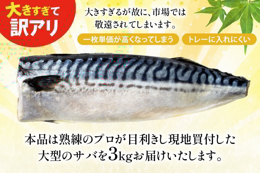 訳あり 塩サバ フィレ 3kg [足利本店 宮城県 気仙沼市 20564146] 魚介類 魚 海鮮 大容量 サバ さば 鯖 サバフィレ サバフィーレ 鯖フィレ トロサバ 訳アリ 訳あり わけあり 切り身 冷凍