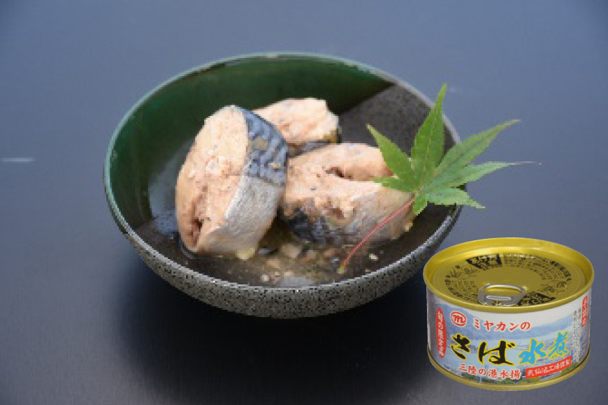 缶詰 三陸の海から ミヤカンのさば水煮・味噌煮セット 各175g×6缶 計12缶 [ミヤカン 宮城県 気仙沼市 20564182] 魚介 魚貝 缶詰 青魚 鯖 さば サバ 水煮 味噌煮 みそ煮 おかず 小分け 常備 ストック 長期保存