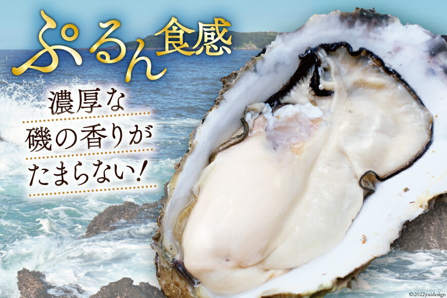 【期間限定発送】 TVで紹介！ 牡蠣 3～4年モノ 生食 殻付き牡蠣 約3kg(約16-18個入) [住喜水産 宮城県 気仙沼市 20564186] 期間限定 冷蔵 新鮮 濃厚 真牡蠣 カキ かき 生牡蠣 魚貝類 生牡蠣 貝 海鮮 魚介類 なべ カキフライ 牡蠣ご飯 魚介