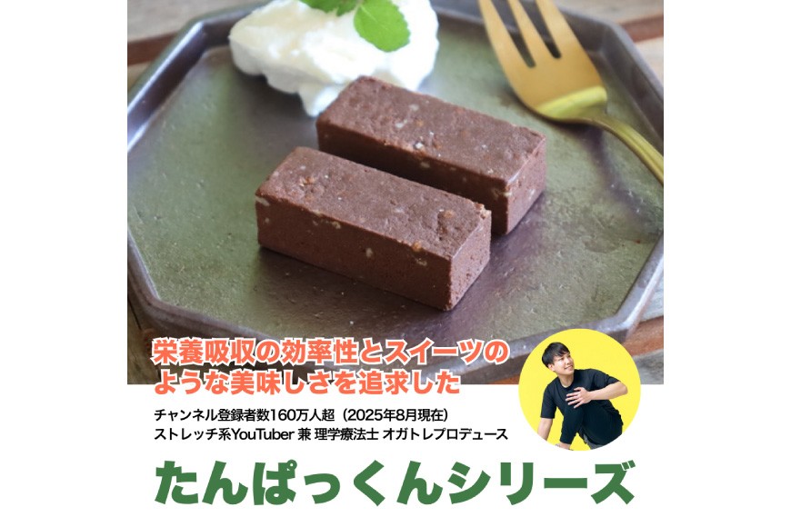 6回 定期便 KGGプロテインバー ちょこ味 28本入 ×6か月 合計168本 [KESENNUMA GOOD GOODS 宮城県 気仙沼市 20564489] オガトレ プロテイン プロテインバー 人工甘味料不使用 グルテンフリー 高タンパク スイーツ