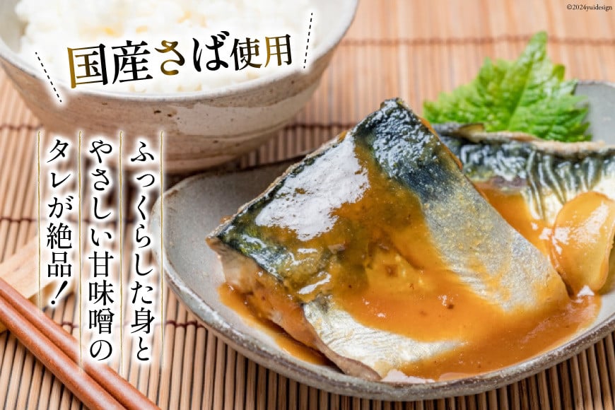 国産 さば 味噌煮 120g×10パック [阿部長商店 宮城県 気仙沼市 20564777] 個包装 真空パック 鯖 サバ さば 味噌煮 惣菜 魚 加工品 切り身 さばみそ サバ味噌 簡単 簡単調理 温めるだけ 冷凍