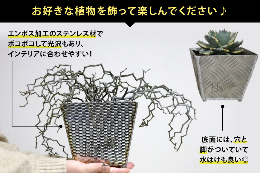 植木鉢 BOTANICAL POT SSP-M 1点 [藤田鉄工所 宮城県 気仙沼市 20565001] プランター 鉢 植木 おしゃれ 室内 多肉植物 アガベ ステンレス 金属 花 ガーデン DIY 植物 多肉 観葉植物 ナチュラル