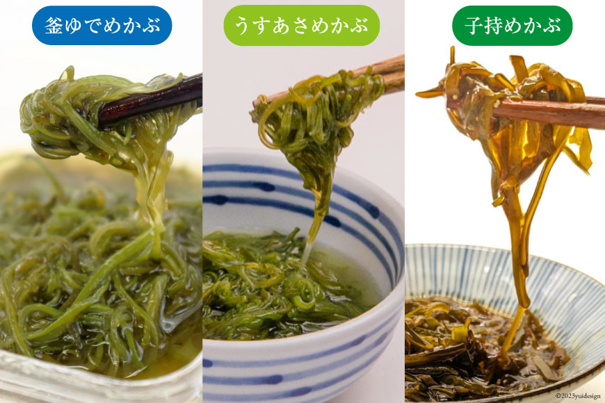 めかぶ 3種×各2p 舌鼓とろとろもずく 3種×2p 計12p [気仙沼市物産振興協会 宮城県 気仙沼市 20565305] 海藻 もずく 三杯酢 玄米黒酢 リンゴ酢 メカブ 芽株