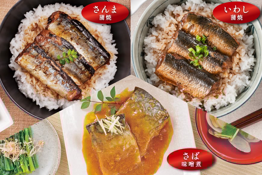 三陸食堂 煮魚 惣菜 セット 6種 9パック [阿部長商店 宮城県 気仙沼市 20565437] 簡単調理 レトルト 魚 レンジ 長期保存 魚料理 和食 常温保存 さんま いわし かつお さば ぶり めかじき 蒲焼 味噌煮 生姜煮 ポトフ つみれ汁 和食 常温保存 個包装