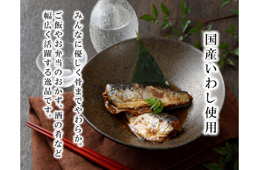 12回 定期便 訳あり 業務用 いわし煮魚 3種 ×10尾 計30尾入 約1.5kg ×12回 総重量 約18kg [カネダイ 宮城県 気仙沼市 20565565] 魚 魚介 煮魚 国産 生姜煮 梅肉煮 みぞれ煮 おかず 焼き魚 簡単 時短 訳アリ 冷凍