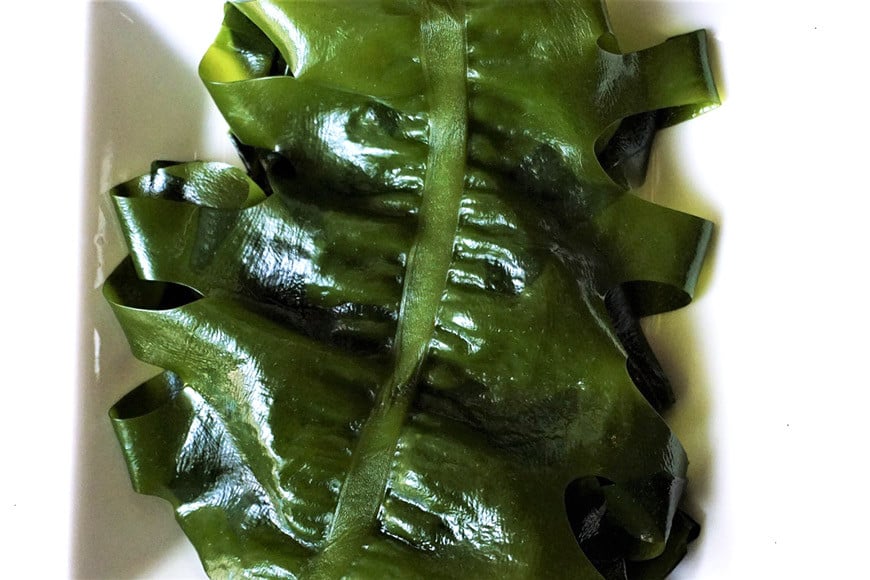 【2つの食感】3回 定期便 三陸産 サラダわかめ 170g ×3回 総計 510g [小野徳 宮城県 気仙沼市 20565588] 海藻 ワカメ わかめ 若布 塩蔵わかめ 塩蔵 コリコリ シャキシャキ 冷蔵