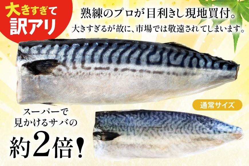 訳あり 塩さば フィレ LLサイズ 3kg [足利本店 宮城県 気仙沼市 20565620]