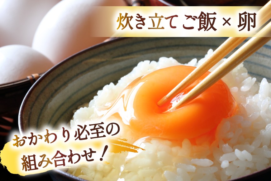 米 令和7年産 宮城県産 とまたんのひとめぼれ 5kg [サンフレッシュ小泉農園 宮城県 気仙沼市 20565646] 5㎏