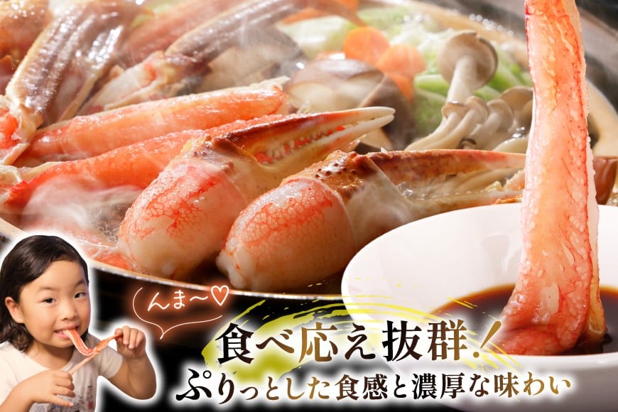【2025 年内配送】 生ずわい かに むき身セット 総重量1.5kg(正味重量1.2kg) [カネダイ 宮城県 気仙沼市 20565690] 1.5㎏