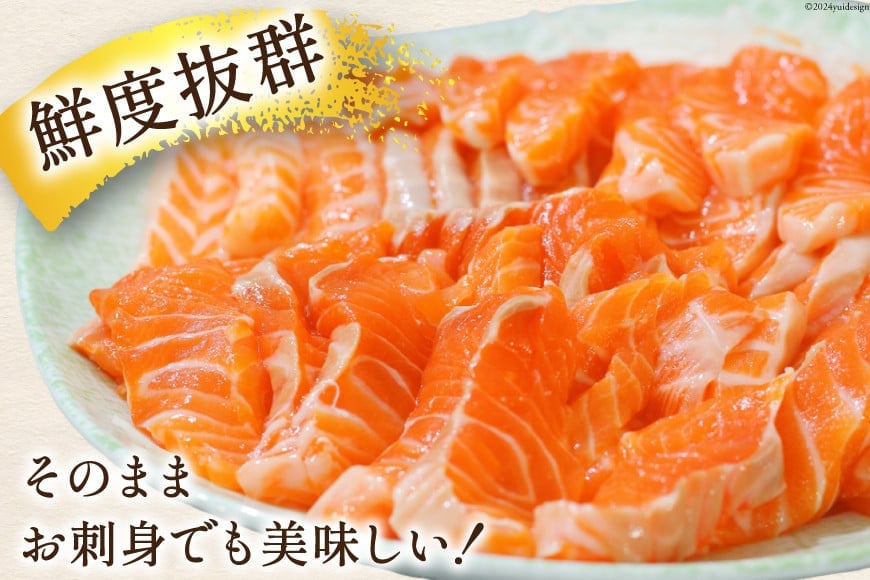 訳あり トロサーモン 切り落とし 1kg (125g×8p) 無添加 個包装 [足利本店 宮城県 気仙沼市 20565737] 魚介類 魚 サーモン 海鮮 鮭 トロ お刺し身 おさしみ 刺し身 刺身 ノルウェー アトランティックサーモン 小分け 冷凍 訳アリ