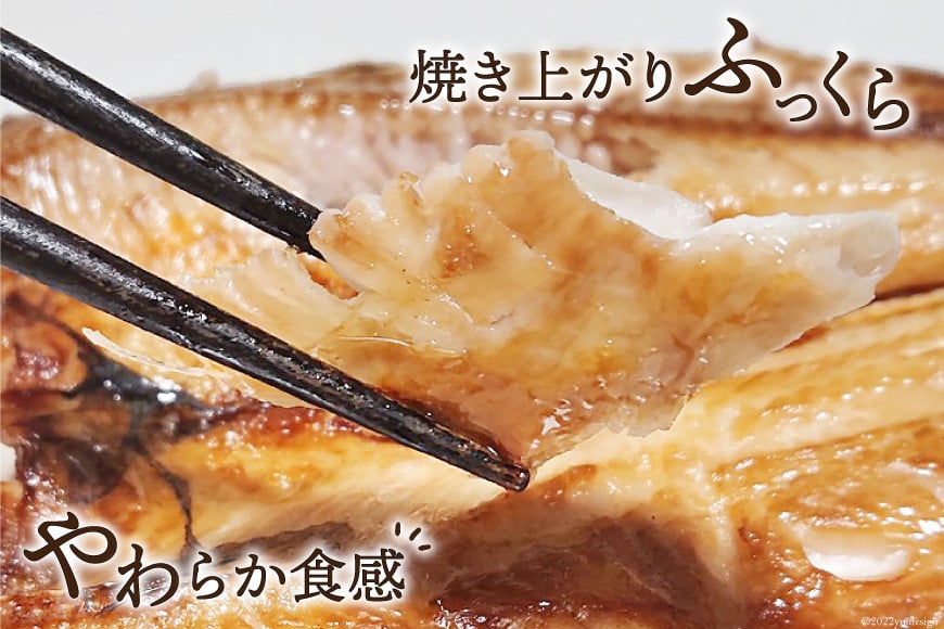 訳あり 干物 5種 5p [気仙沼市物産振興協会 宮城県 気仙沼市 20565738] 魚介類 魚 詰め合わせ セット 規格外 家庭用 訳アリ わけあり ひもの