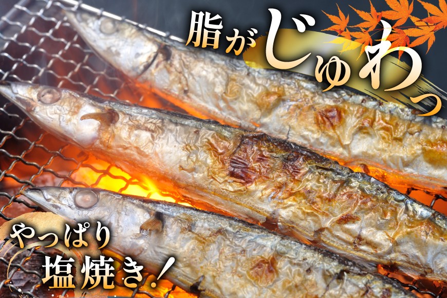 【期間限定発送】 生 さんま 10尾 [阿部長商店 宮城県 気仙沼市 20565760] 魚 サンマ 秋刀魚 生鮮 鮮魚 季節限定