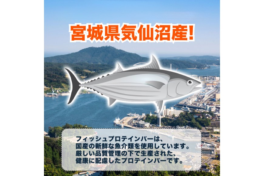 6回 定期便 KGGフィッシュプロテインバー かつおたんぱっくん 計36食 (6食×6回) [KESENNUMA GOOD GOODS 宮城県 気仙沼市 20565842] プロテイン プロテインバー タンパク質 たんぱく質 常温保存 常温 長期保存 備蓄 オガトレ カツオ かつお 鰹