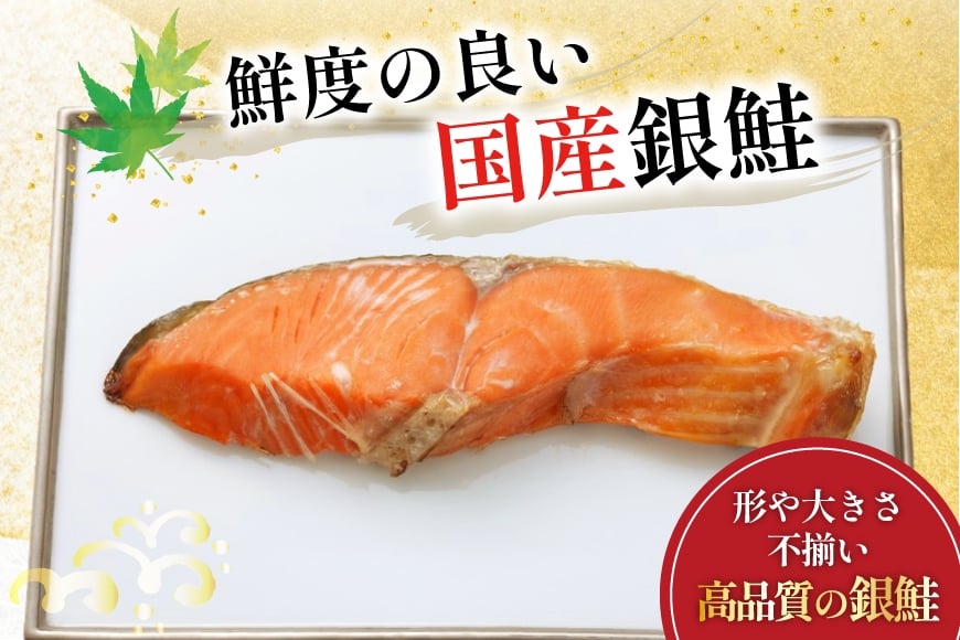 訳あり 国産 減塩 厚切り 塩銀鮭 切身 計 1kg [足利本店 宮城県 気仙沼市 20565949] サーモン 鮭 さけ サケ シャケ 魚 海鮮 魚介 甘塩味 規格外 不揃い 鮭切身 切り身 個包装 家庭用 訳アリ 塩分控えめ 無添加 冷凍