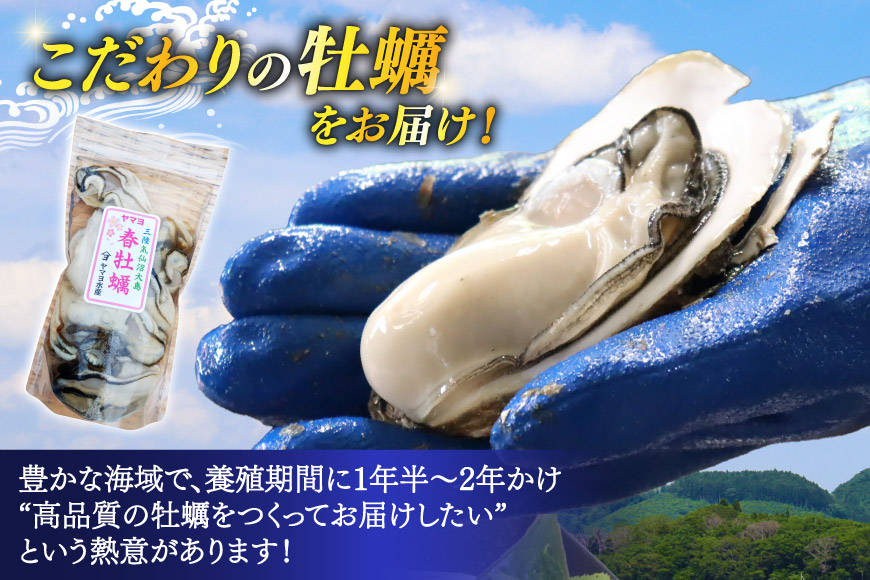 【期間限定発送】 ヤマヨ水産の牡蠣 加熱用 500g 《5月前半～出荷》 [気仙沼市物産振興協会 宮城県 気仙沼市 20565983] 魚介類 海鮮 牡蠣 春 かき 春牡蠣 春かき 期間限定 冷蔵 加熱