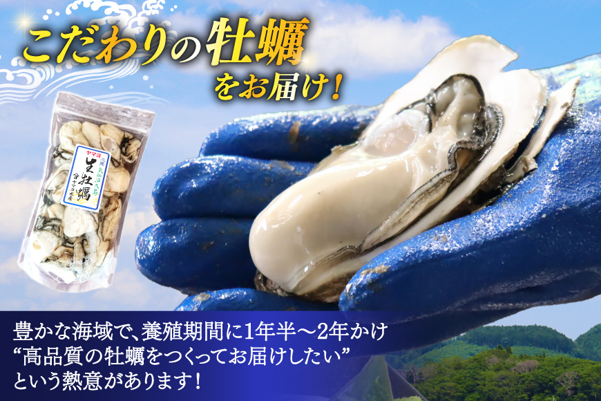 【期間限定発送】 ヤマヨ水産の牡蠣 加熱用 500g 《1月前半～出荷》 [気仙沼市物産振興協会 宮城県 気仙沼市 20565984] 牡蠣 かき 魚介類 海鮮 冬 冬牡蠣 冬かき 期間限定 冷蔵 加熱