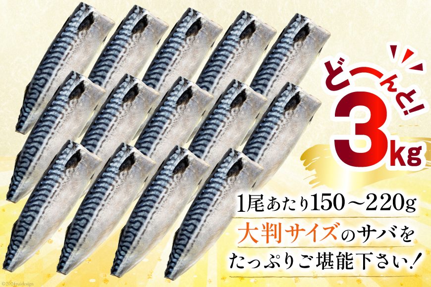 訳あり 塩サバ フィレ 3kg [足利本店 宮城県 気仙沼市 20564146] 魚介類 魚 海鮮 大容量 サバ さば 鯖 サバフィレ サバフィーレ 鯖フィレ トロサバ 訳アリ 訳あり わけあり 切り身 冷凍