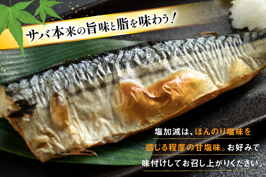 訳あり 減塩 無添加 塩サバ フィレ Mサイズ 総重量 3kg (15-21枚入) [足利本店 宮城県 気仙沼市 20565687] 魚介類 魚 大容量 サバ さば 鯖 塩分控えめ 切り身 冷凍 訳アリ