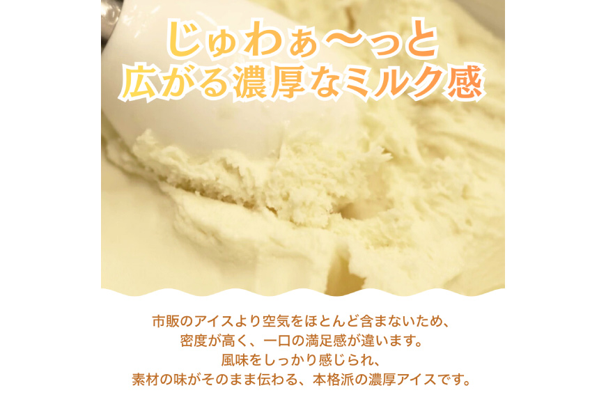 プロテインアイス あいすたんぱっくん しおみるく味 100ml × 6個 [KESENNUMA GOOD GOODS 宮城県 気仙沼市 20565965] アイス プロテイン 高タンパク コラーゲン 濃厚 塩 ミルク スイーツ デザート