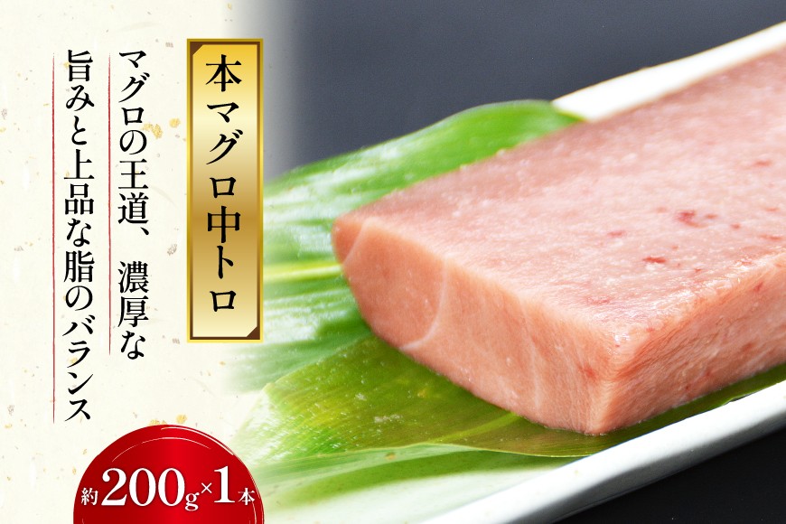 北かつのマグロ 中トロセット [北かつ商事 宮城県 気仙沼市 20563599] 魚 刺身 柵 鮪 まぐろ マグロ 本マグロ 南マグロ 中トロ メカジキ メバチ めばち ビンチョウ 冷凍 魚介類 魚介 新鮮 高級