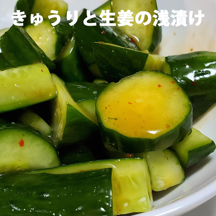 気仙沼 万能 浅漬けの素 うま造り 1L×6本 [石渡商店 宮城県 気仙沼市 20563690] 調味料 醤油