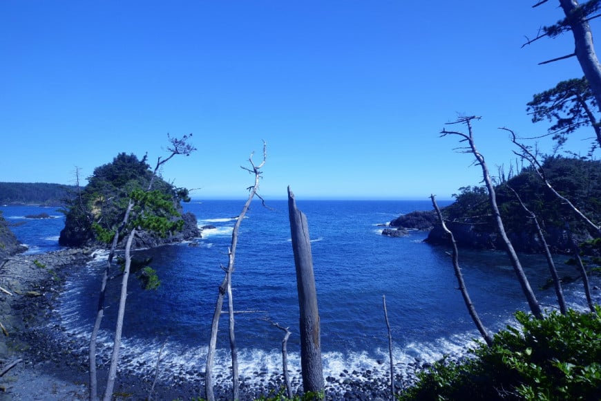 【外抜一等品】 三陸産 特撰若布 400g [大菊 宮城県 気仙沼市 20563741] ワカメ わかめ 塩蔵 冷蔵 一等品