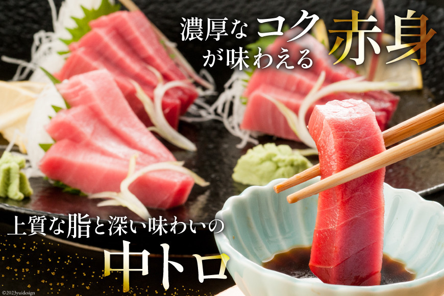 昭福丸の天然本まぐろ (中トロ･赤身) 各180g 計360g [臼福本店 宮城県 気仙沼市 20563782] 魚 鮮魚 刺身 トロ 天然本マグロ マグロ まぐろ 鮪 本まぐろ 本マグロ 本鮪 冷凍