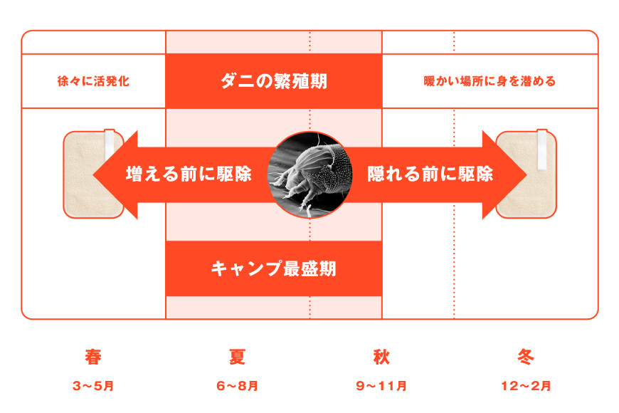 ダニ捕りシート ダニクル 寝袋用 1個（2枚入） [エース産業 宮城県 気仙沼市 20563937] アウトドア ダニ ダニ捕り ハウスダスト アレルギー 予防 寝袋 キャンプ