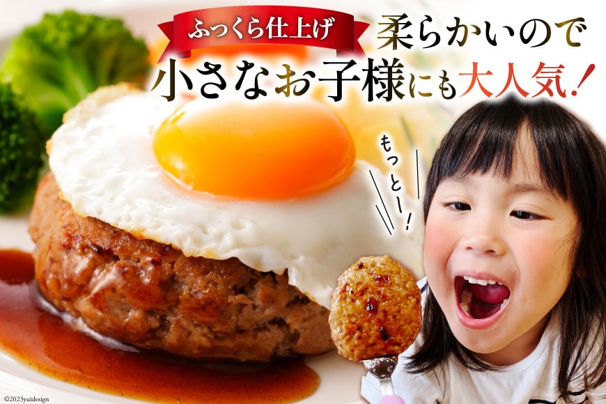 レンジで簡単 ハンバーグ 3kg 50個入 [オサベフーズ 宮城県 気仙沼市 20563951] 大容量 肉 弁当 惣菜 おかず