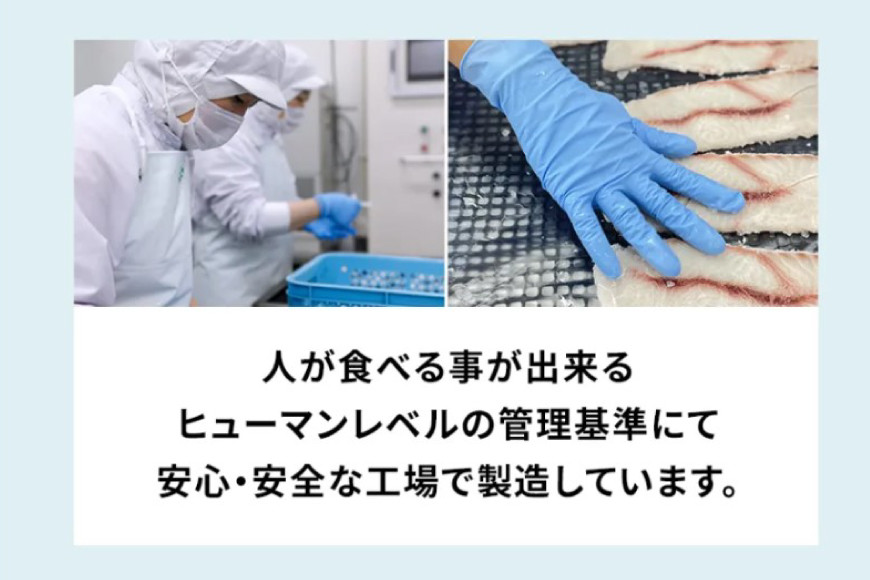 UMINO PET サメ肉ジャーキー 40g×3個 [石渡商店 宮城県 気仙沼市 20563953] ペットフード ドッグフード 犬 いぬ 犬用 ペット おやつ オヤツ 国産 ジャーキー 気仙沼産 サメ 鮫