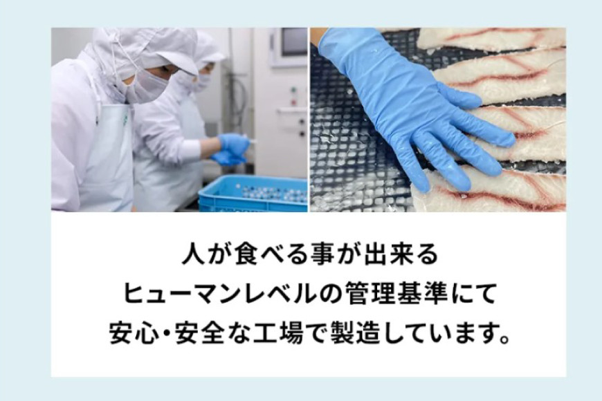 UMINO PET サメ軟骨スティック 40g×5個 [石渡商店 宮城県 気仙沼市 20563958] ペットフード ドッグフード 犬 いぬ 犬用 ペット おやつ オヤツ 国産 気仙沼産 サメ 鮫 軟骨