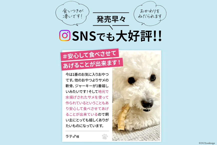 UMINO PET サメ肉と軟骨のパウダー 計200g（40g×5） [石渡商店 宮城県 気仙沼市 20563973] ペットフード ドッグフード 犬 いぬ 犬用 ペット おやつ オヤツ トッピング サメ 鮫