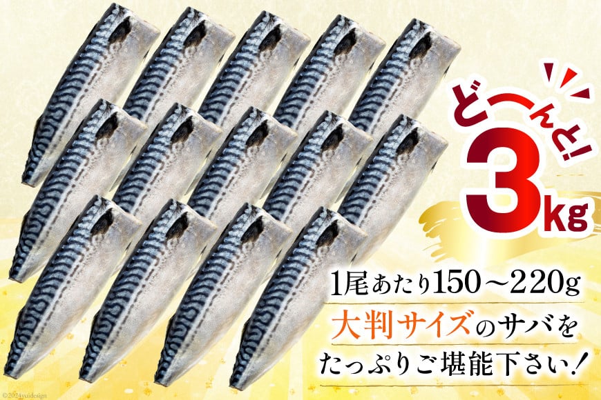 訳あり 塩サバ フィレ 3kg [足利本店 宮城県 気仙沼市 20564146] 魚介類 魚 海鮮 大容量 サバ さば 鯖 サバフィレ サバフィーレ 鯖フィレ トロサバ 訳アリ 訳あり わけあり 切り身 冷凍