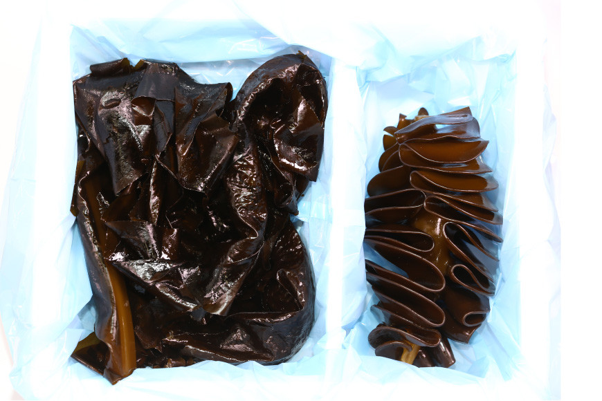 【期間限定発送】 新物 わかめ & めかぶ しゃぶしゃぶ セット 各1kg 計2kg [さんりくみらい 宮城県 気仙沼市 20564183] 三陸産 国産 生 ワカメ メカブ 冷蔵 季節限定