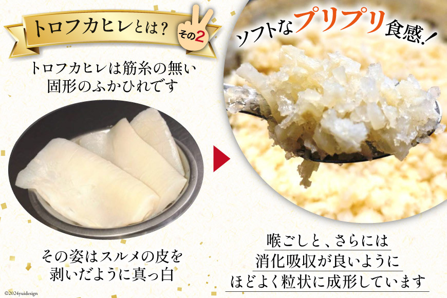 【粒々ふかひれの広東風トロかけごはん】200g×6袋 [鼎陽 宮城県 気仙沼市 20564718] 鱶鰭 ふかひれ フカヒレ 豪華 高級 贅沢 中華 中華料理 モウカザメ コラーゲン 広東 広東風 つぶつぶ 冷凍