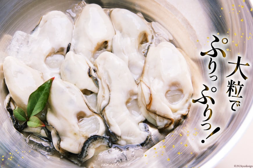 【期間限定発送】 牡蠣 計1kg (約26‐44個入) 500g×2p むき身 生食用 [住喜水産 宮城県 気仙沼市 20564824] 期間限定 冷蔵 新鮮 濃厚 真牡蠣 カキ かき 生牡蠣 魚貝類 生牡蠣 貝 海鮮 魚介類 なべ カキフライ 牡蠣ご飯 魚介