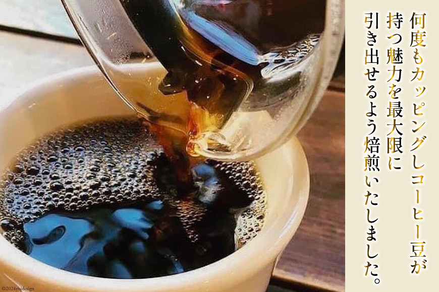 コーヒー 焙煎士おススメ コーヒー豆 セット 200g 3種 計600g [アンカーコーヒー 宮城県 気仙沼市 20565128] 珈琲 珈琲豆 焙煎 自家焙煎