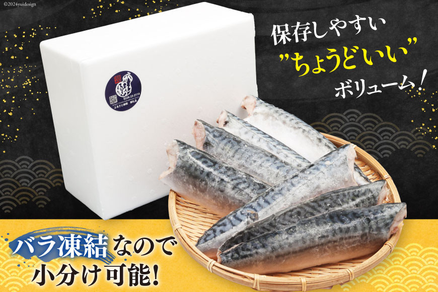 サバ フィレ 切り身 1kg [かわむら家 宮城県 気仙沼市 20565473] 魚 魚介類 魚介 鯖 さば 切り身 無添加 冷凍 便利 弁当 おかず 惣菜